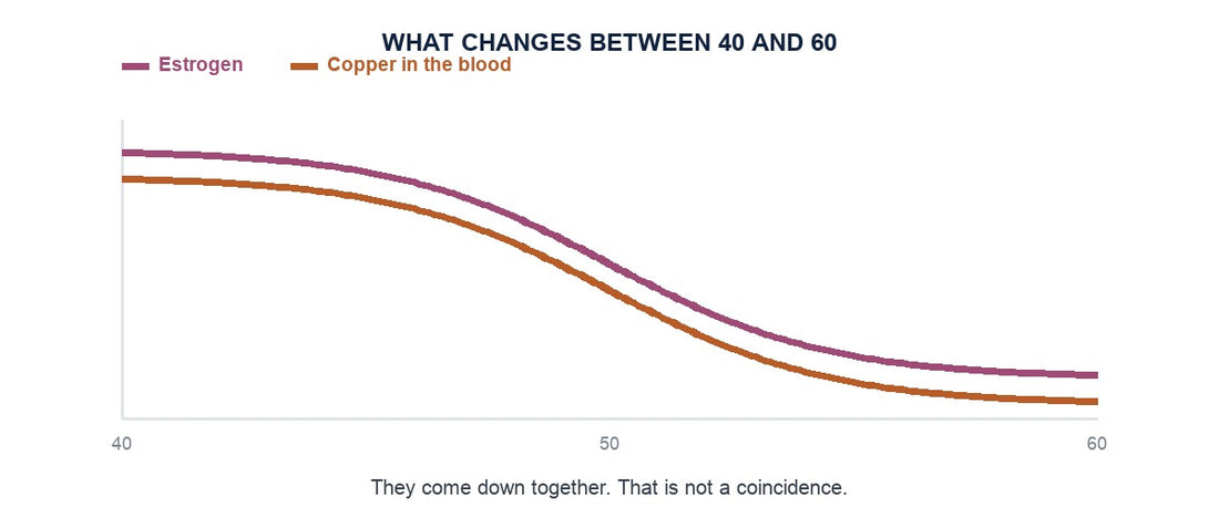 Estrogen and copper in the blood both declining between 40 and 60
