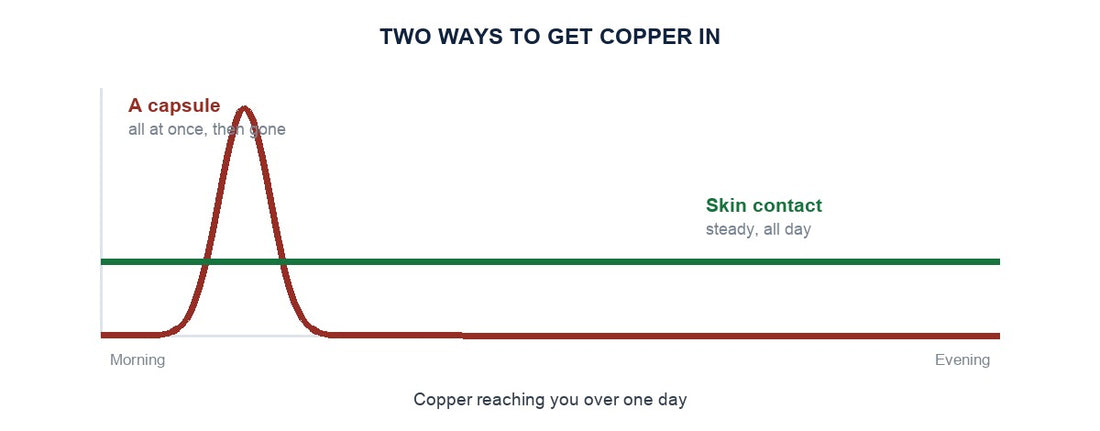A capsule spikes then fades while skin contact stays steady all day