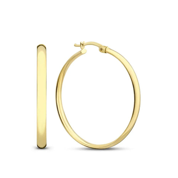 Noa Gold Earrings